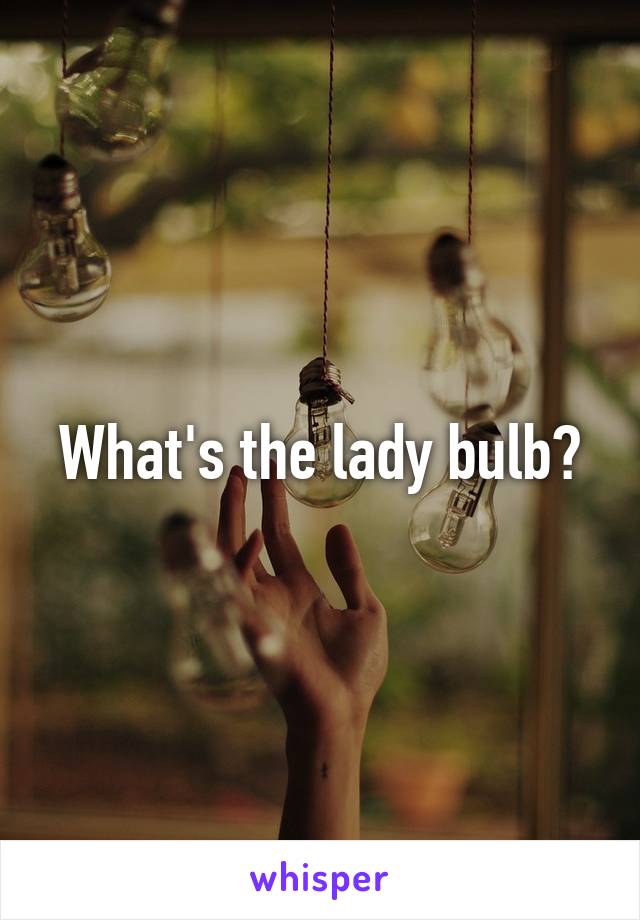 What's the lady bulb?