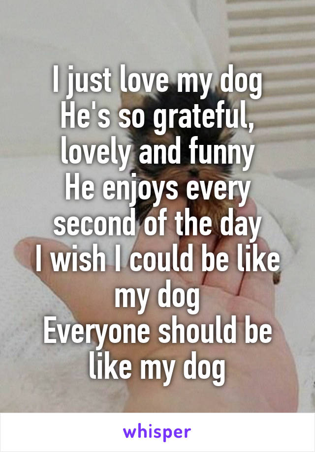 I just love my dog
He's so grateful, lovely and funny
He enjoys every second of the day
I wish I could be like my dog
Everyone should be like my dog