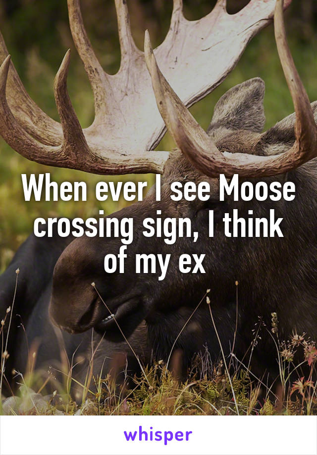 When ever I see Moose crossing sign, I think of my ex 