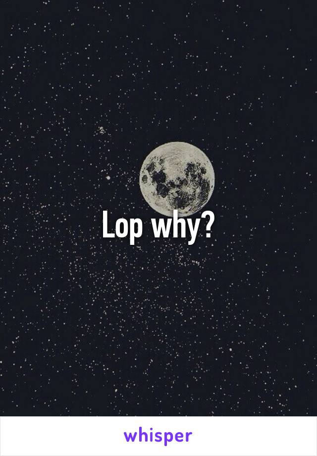 Lop why?