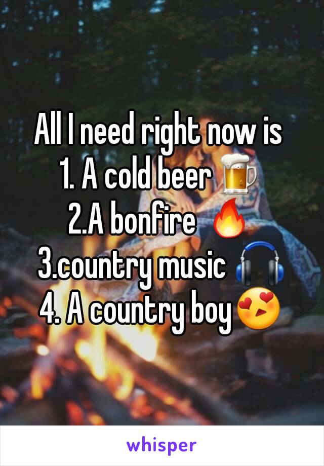 All I need right now is 
1. A cold beer🍺
2.A bonfire 🔥
3.country music 🎧
4. A country boy😍