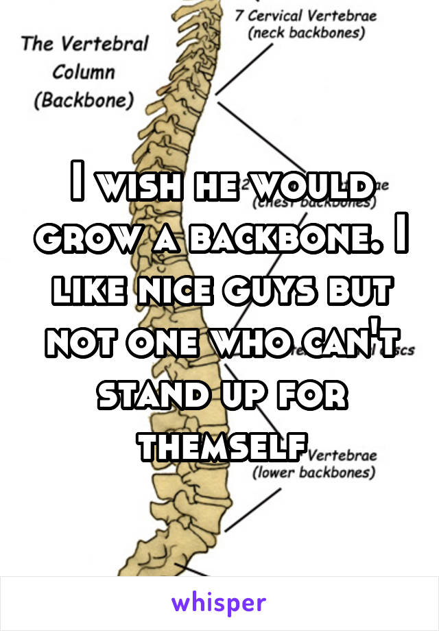 I wish he would grow a backbone. I like nice guys but not one who can't stand up for themself