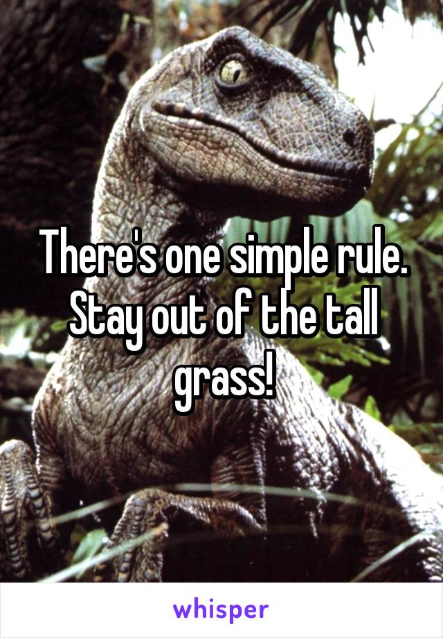 There's one simple rule. Stay out of the tall grass!