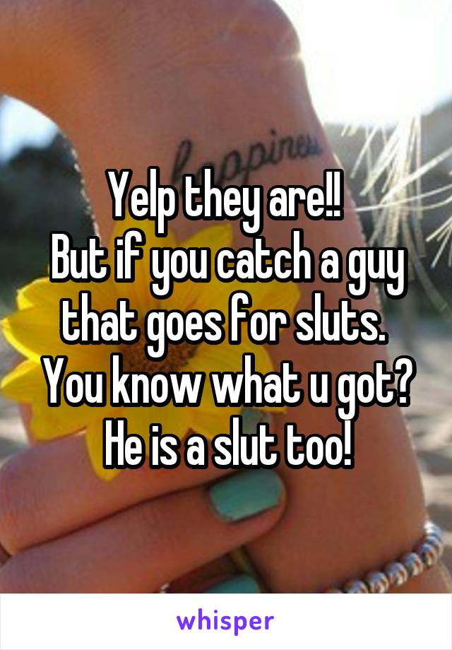 Yelp they are!! 
But if you catch a guy that goes for sluts. 
You know what u got?
He is a slut too!