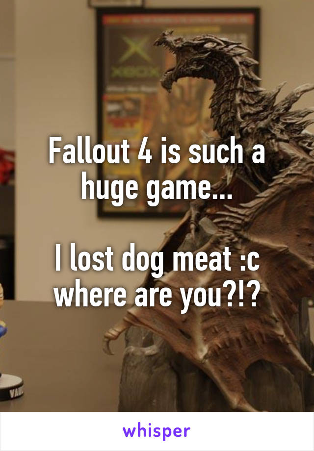 Fallout 4 is such a huge game...

I lost dog meat :c where are you?!?