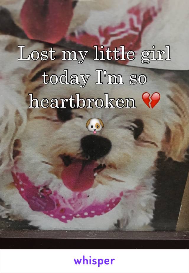 Lost my little girl today I'm so heartbroken 💔
🐶