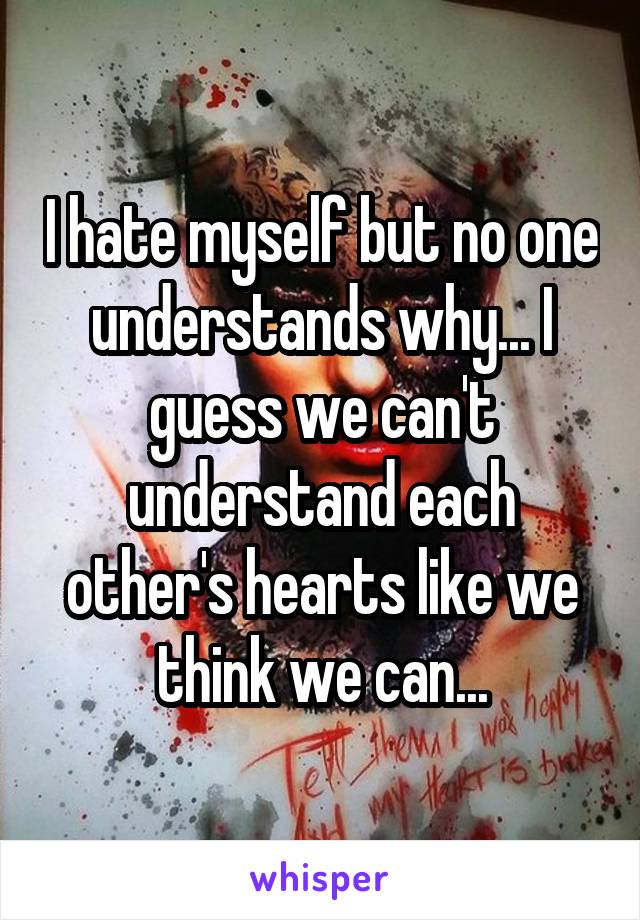 I hate myself but no one understands why... I guess we can't understand each other's hearts like we think we can...