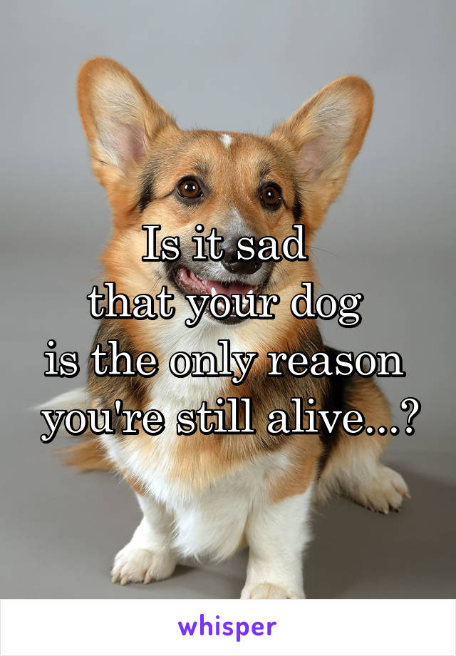 Is it sad 
that your dog 
is the only reason 
you're still alive...?