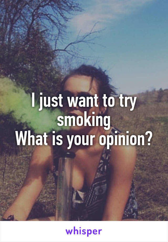 I just want to try smoking
What is your opinion?