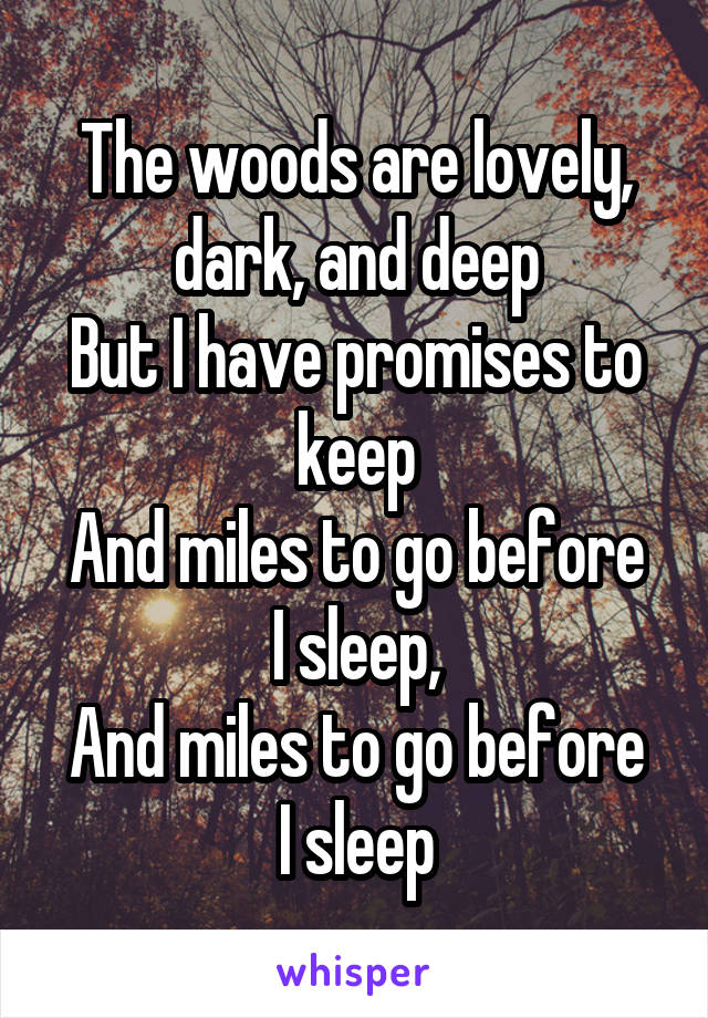 The woods are lovely, dark, and deep
But I have promises to keep
And miles to go before I sleep,
And miles to go before I sleep