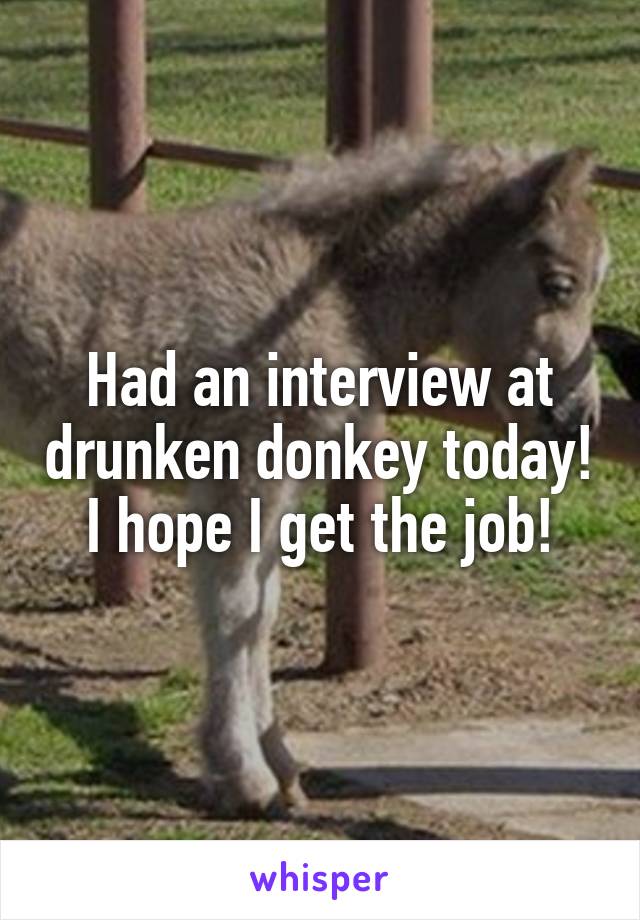 Had an interview at drunken donkey today! I hope I get the job!