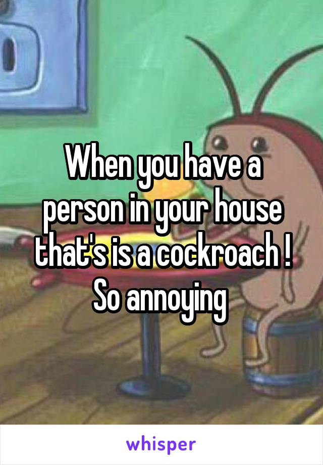 When you have a person in your house that's is a cockroach ! So annoying 