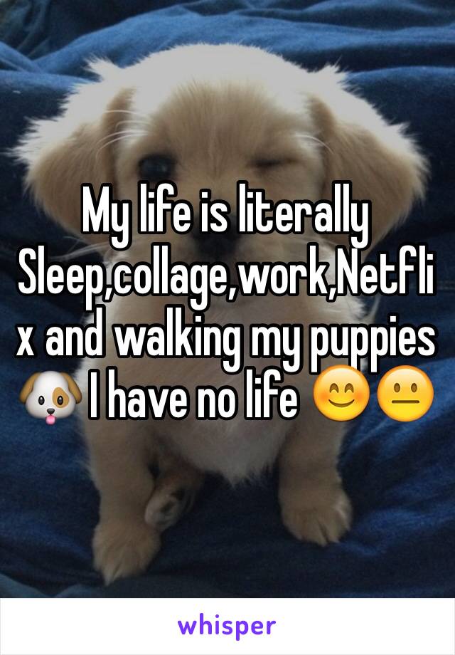 My life is literally 
Sleep,collage,work,Netflix and walking my puppies 🐶 I have no life 😊😐