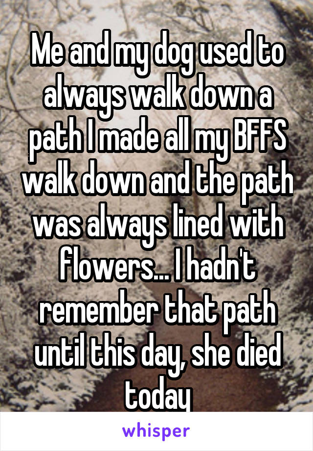 Me and my dog used to always walk down a path I made all my BFFS walk down and the path was always lined with flowers... I hadn't remember that path until this day, she died today