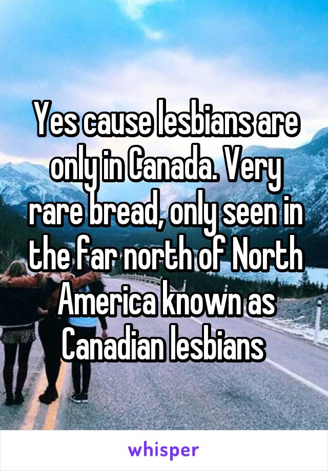 Yes cause lesbians are only in Canada. Very rare bread, only seen in the far north of North America known as Canadian lesbians 