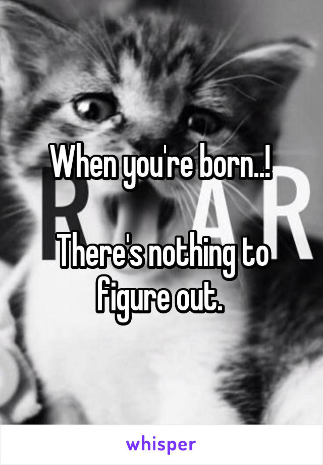 When you're born..! 

There's nothing to figure out. 