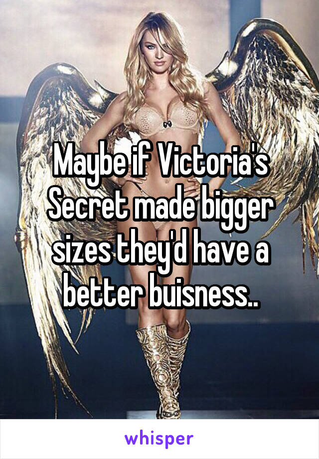 Maybe if Victoria's Secret made bigger sizes they'd have a better buisness..