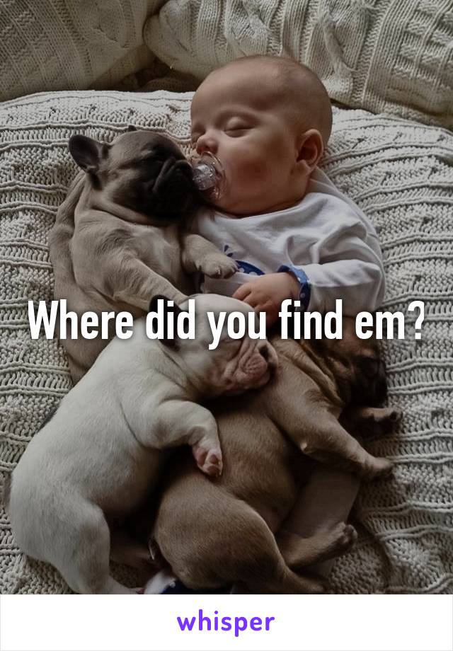 Where did you find em?