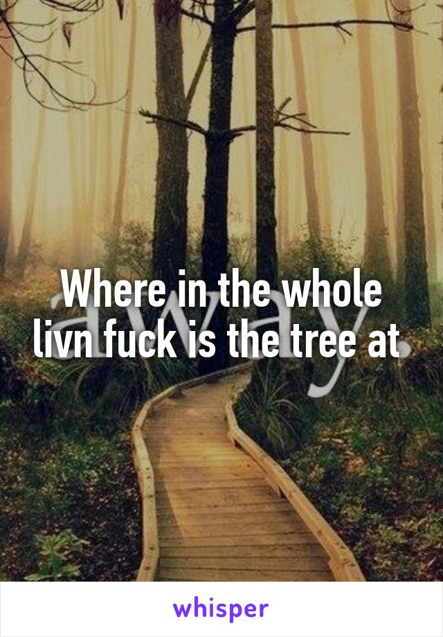 Where in the whole livn fuck is the tree at 