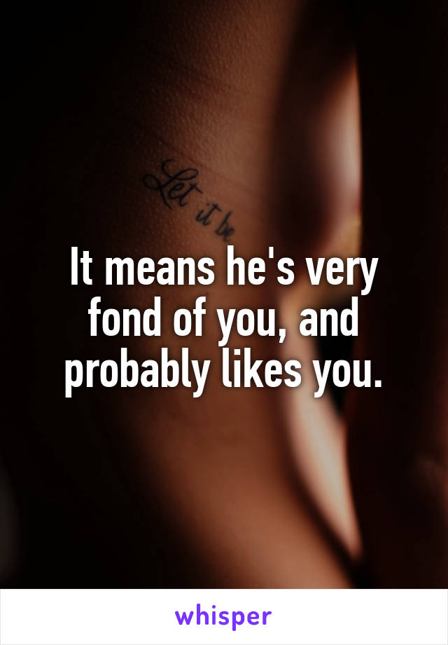 It means he's very fond of you, and probably likes you.