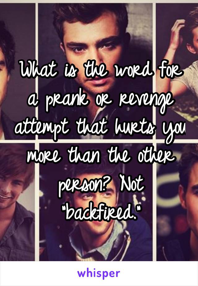 What is the word for a prank or revenge attempt that hurts you more than the other person? Not "backfired."