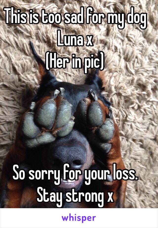 This is too sad for my dog Luna x
(Her in pic)




So sorry for your loss. 
Stay strong x