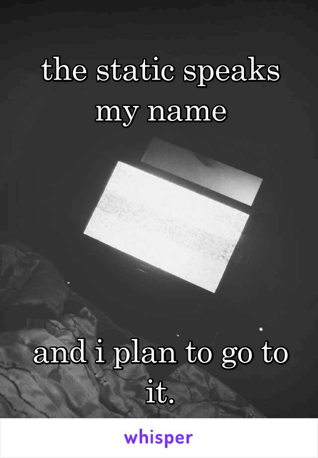 the static speaks my name





and i plan to go to it.