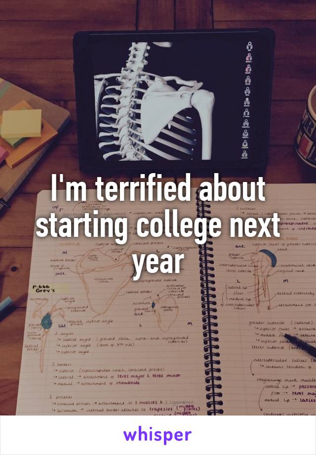 I'm terrified about starting college next year