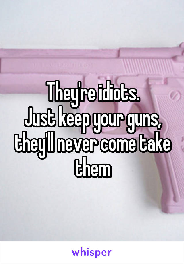 They're idiots.
Just keep your guns, they'll never come take them