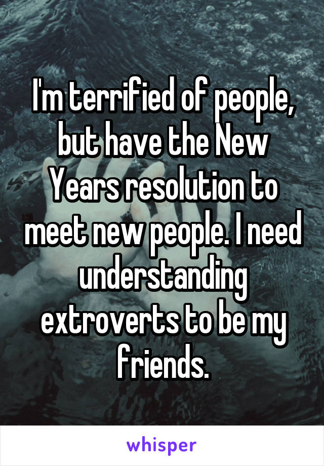 I'm terrified of people, but have the New Years resolution to meet new people. I need understanding extroverts to be my friends.