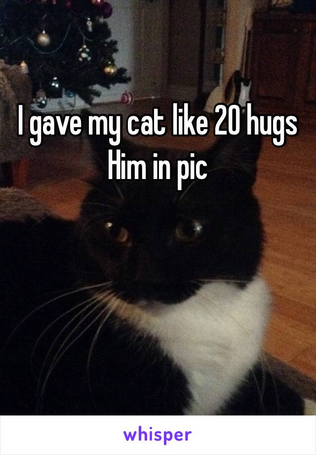 I gave my cat like 20 hugs 
Him in pic