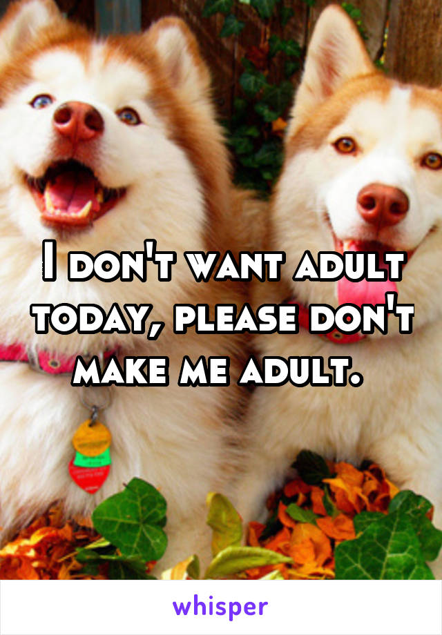 I don't want adult today, please don't make me adult. 