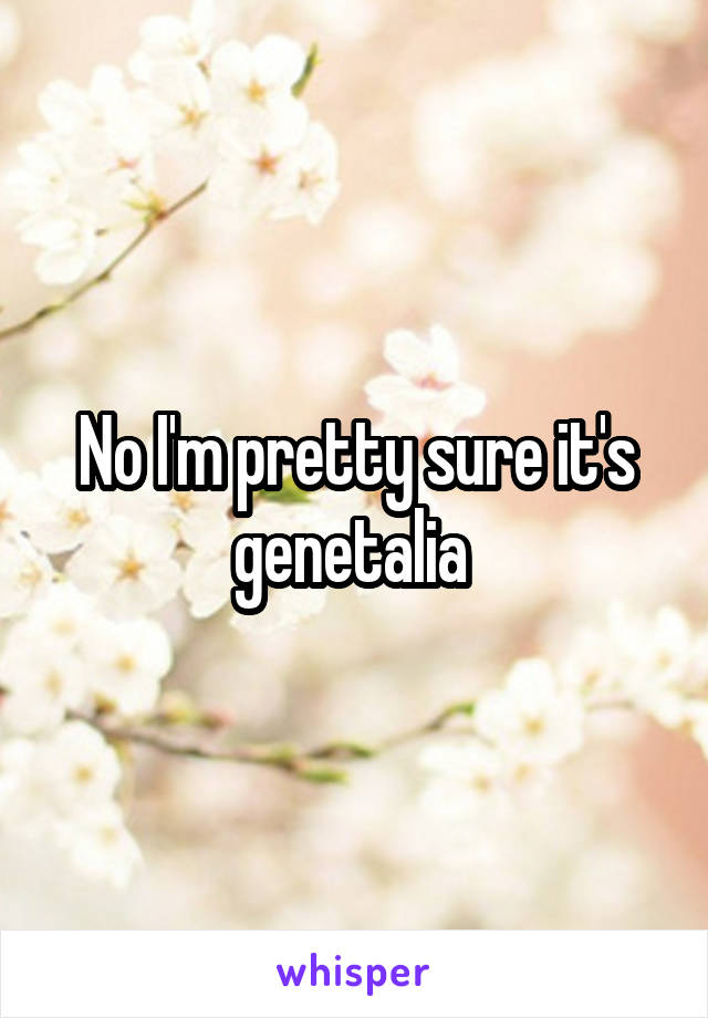 No I'm pretty sure it's genetalia 