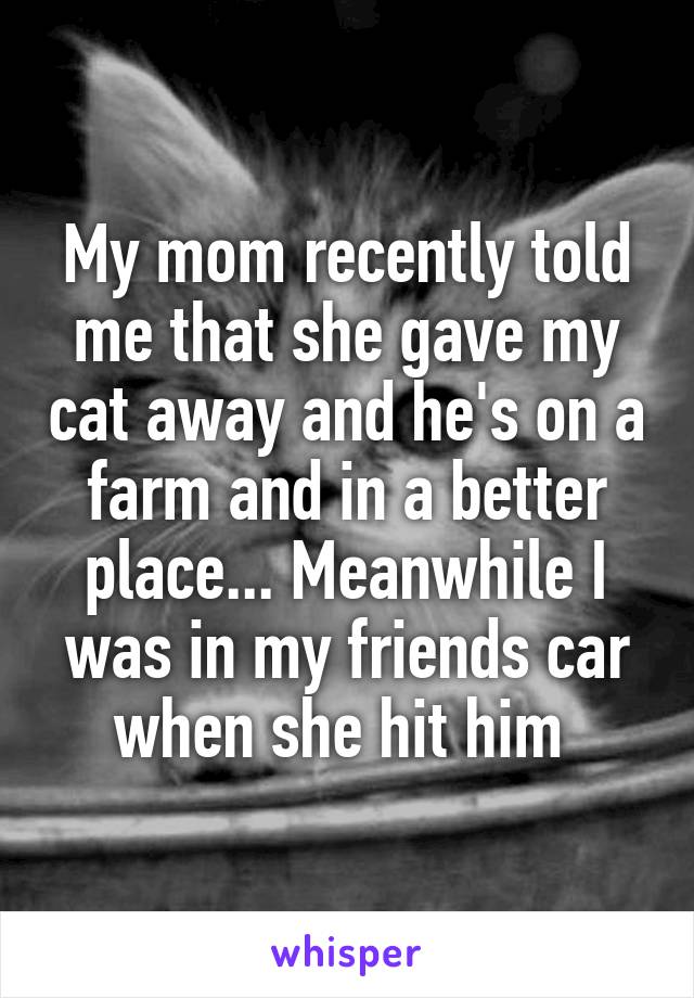 My mom recently told me that she gave my cat away and he's on a farm and in a better place... Meanwhile I was in my friends car when she hit him 