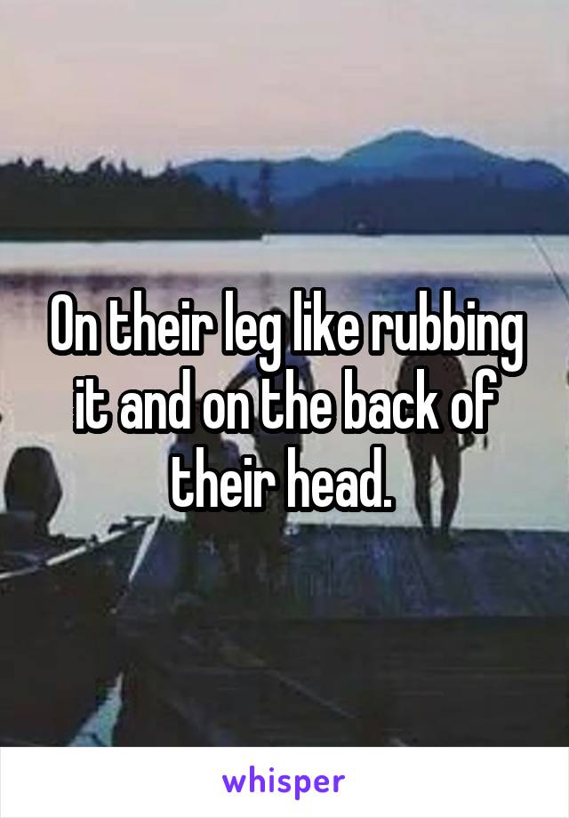 On their leg like rubbing it and on the back of their head. 