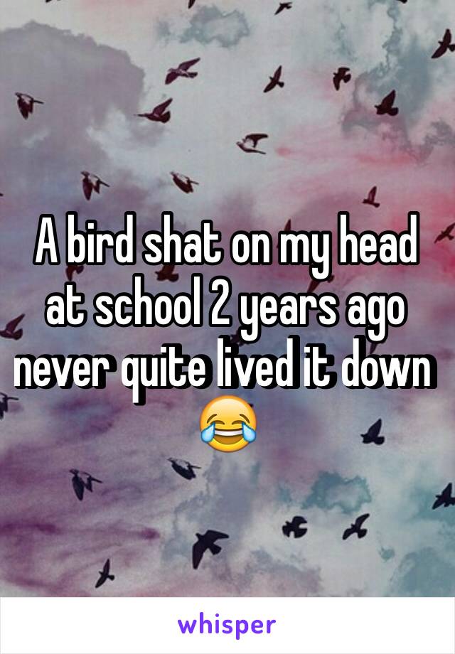 A bird shat on my head at school 2 years ago never quite lived it down 😂