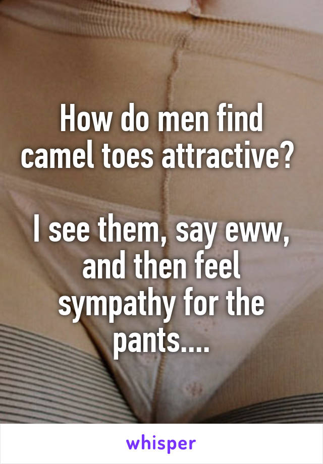 How do men find camel toes attractive? 

I see them, say eww, and then feel sympathy for the pants....