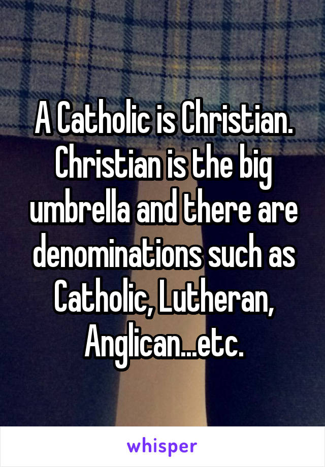 A Catholic is Christian. Christian is the big umbrella and there are denominations such as Catholic, Lutheran, Anglican...etc.