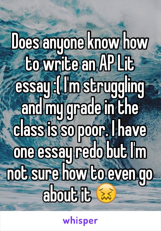 Does anyone know how to write an AP Lit essay :( I'm struggling and my grade in the class is so poor. I have one essay redo but I'm not sure how to even go about it 😖