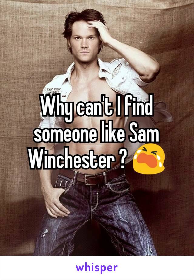 Why can't I find someone like Sam Winchester ? 😭