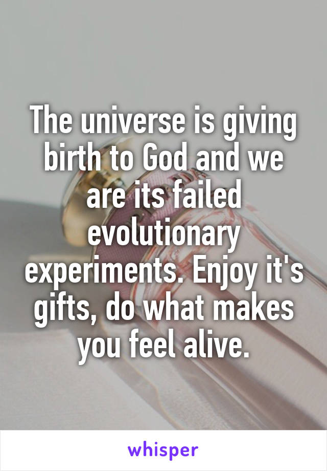 The universe is giving birth to God and we are its failed evolutionary experiments. Enjoy it's gifts, do what makes you feel alive.