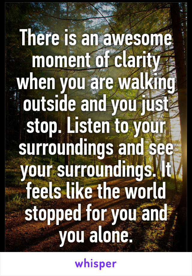 There is an awesome moment of clarity when you are walking outside and you just stop. Listen to your surroundings and see your surroundings. It feels like the world stopped for you and you alone.