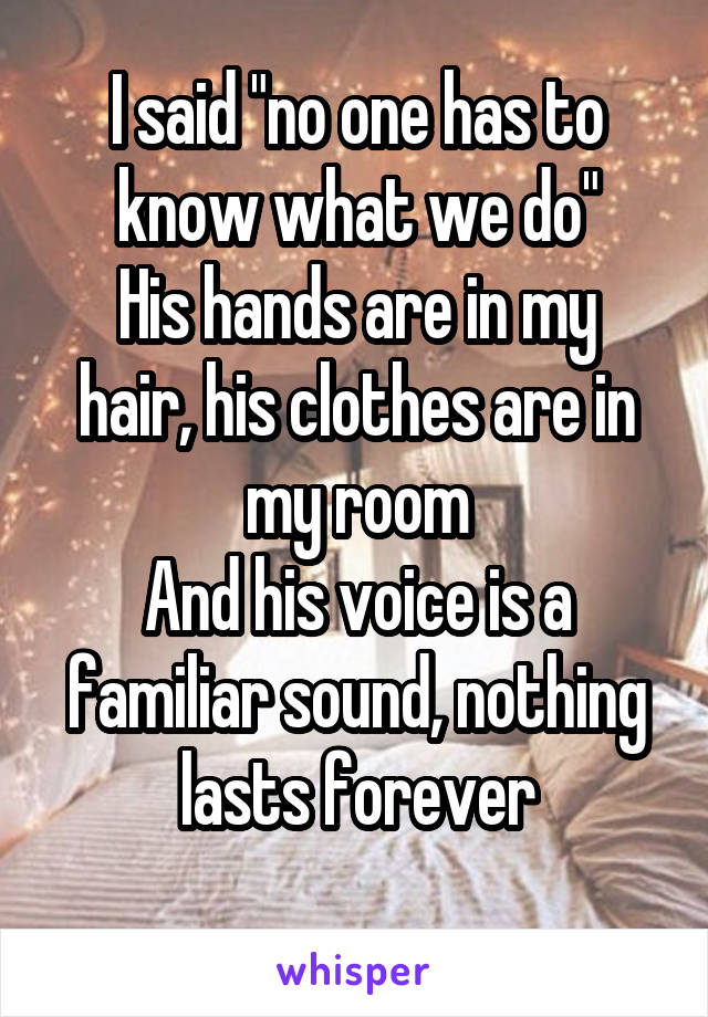 I said "no one has to know what we do"
His hands are in my hair, his clothes are in my room
And his voice is a familiar sound, nothing lasts forever
