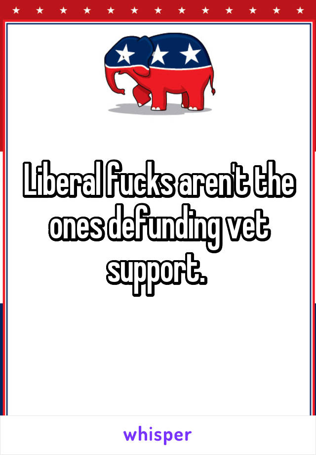 Liberal fucks aren't the ones defunding vet support. 