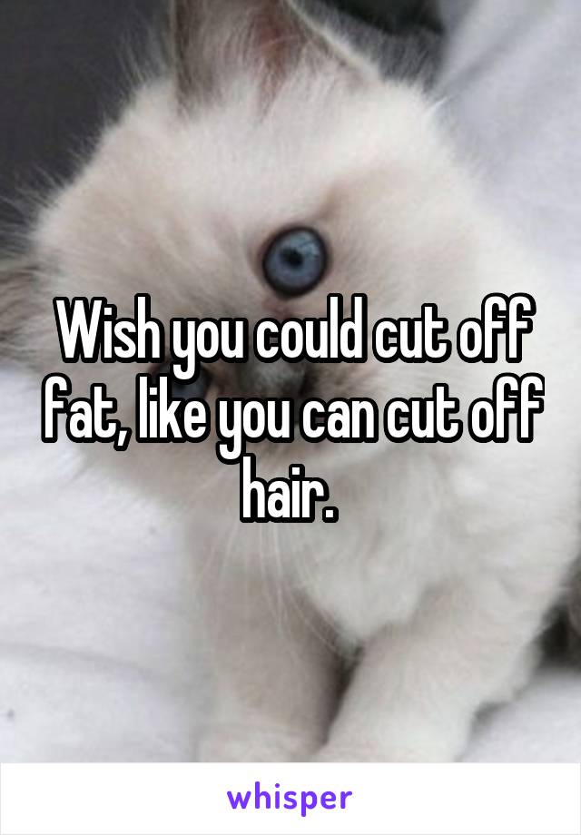 Wish you could cut off fat, like you can cut off hair. 