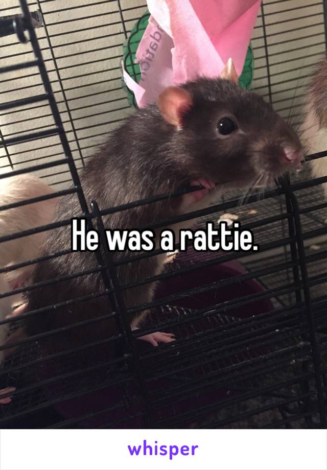 He was a rattie. 