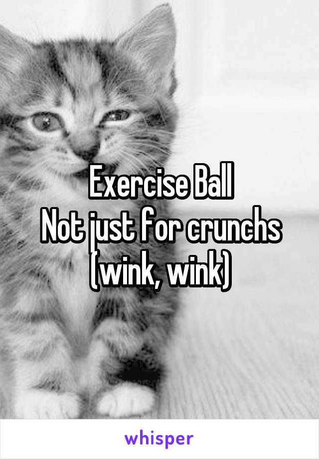 Exercise Ball
Not just for crunchs
(wink, wink)