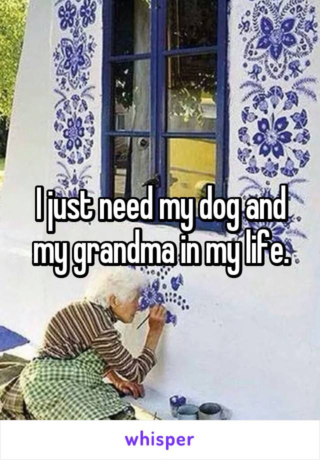 I just need my dog and my grandma in my life.