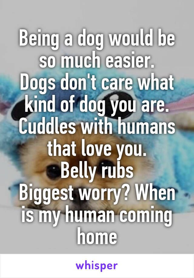 Being a dog would be so much easier.
Dogs don't care what kind of dog you are.
Cuddles with humans that love you.
Belly rubs
Biggest worry? When is my human coming home