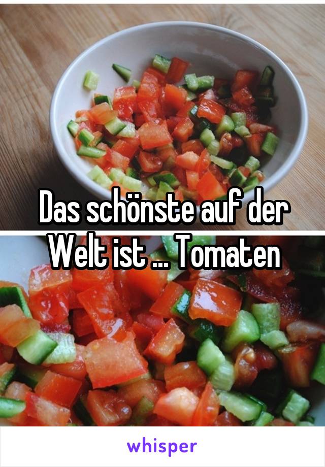 Das schönste auf der Welt ist ... Tomaten